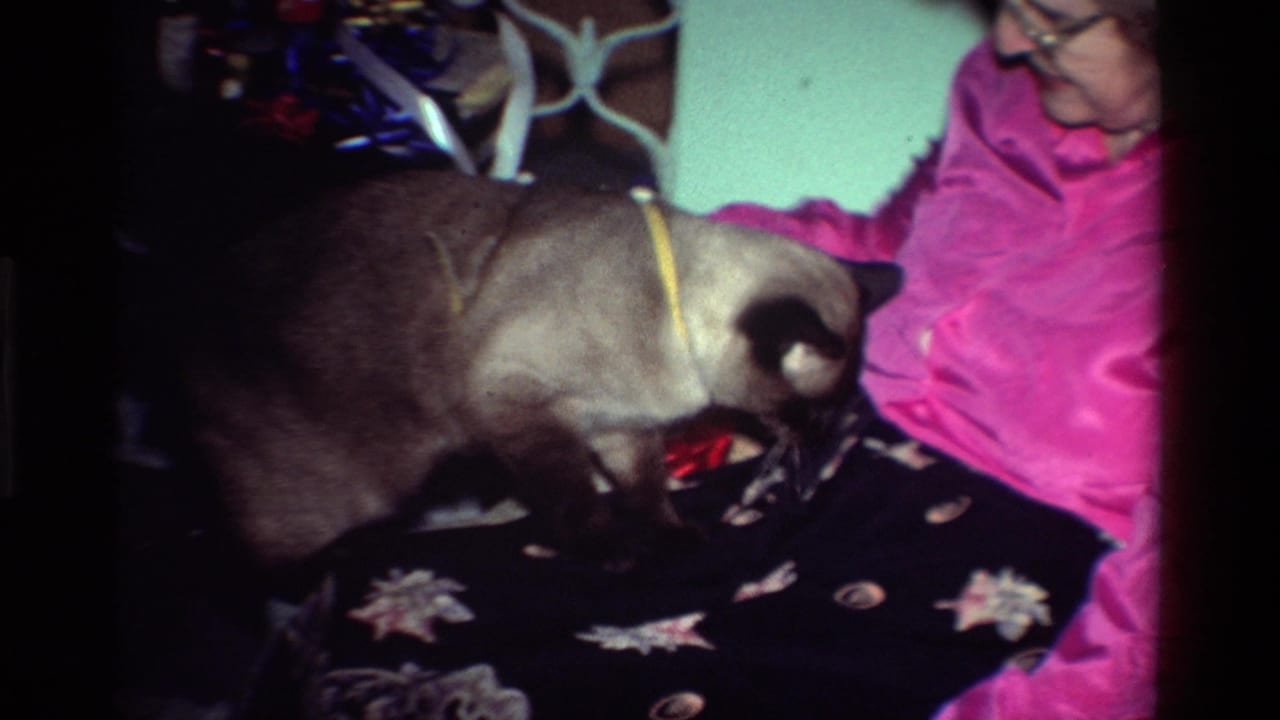 Older woman in a pink blouse beside a Siamese cat on a patterned blanket.