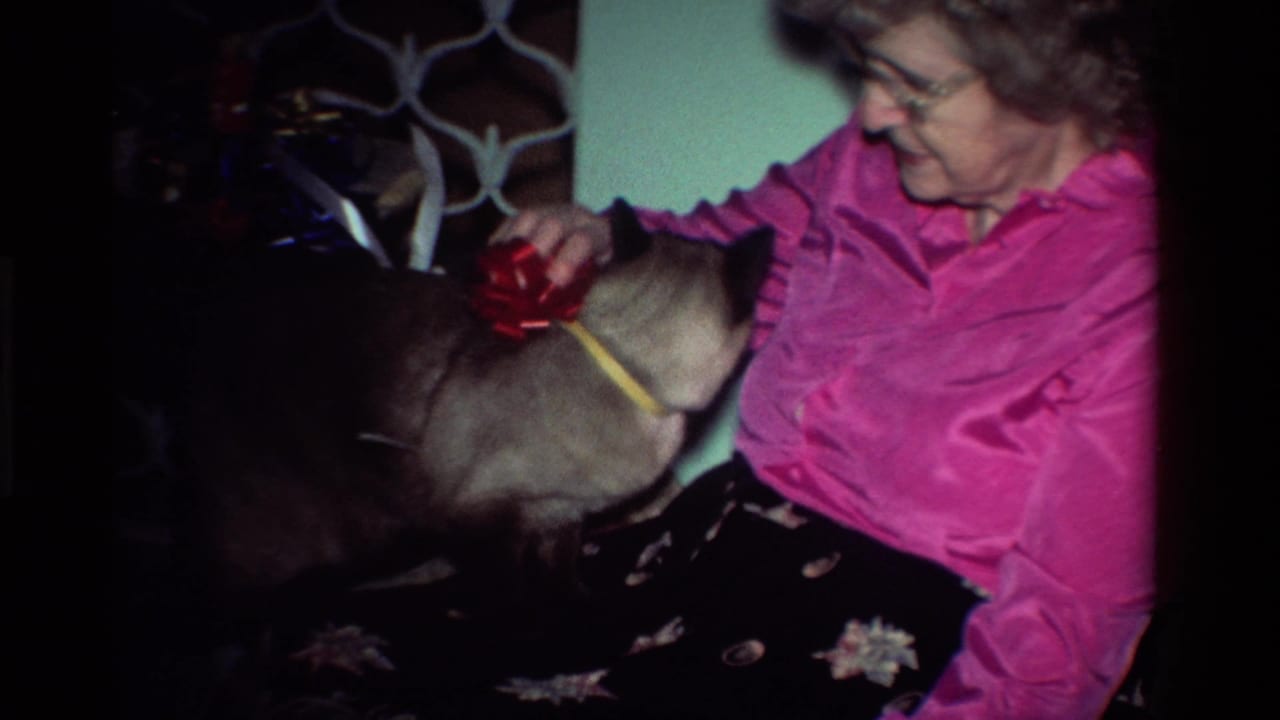 1984 California home-movie frame showing an older woman adjusting a red bow on a Siamese cat in a private indoor setting.