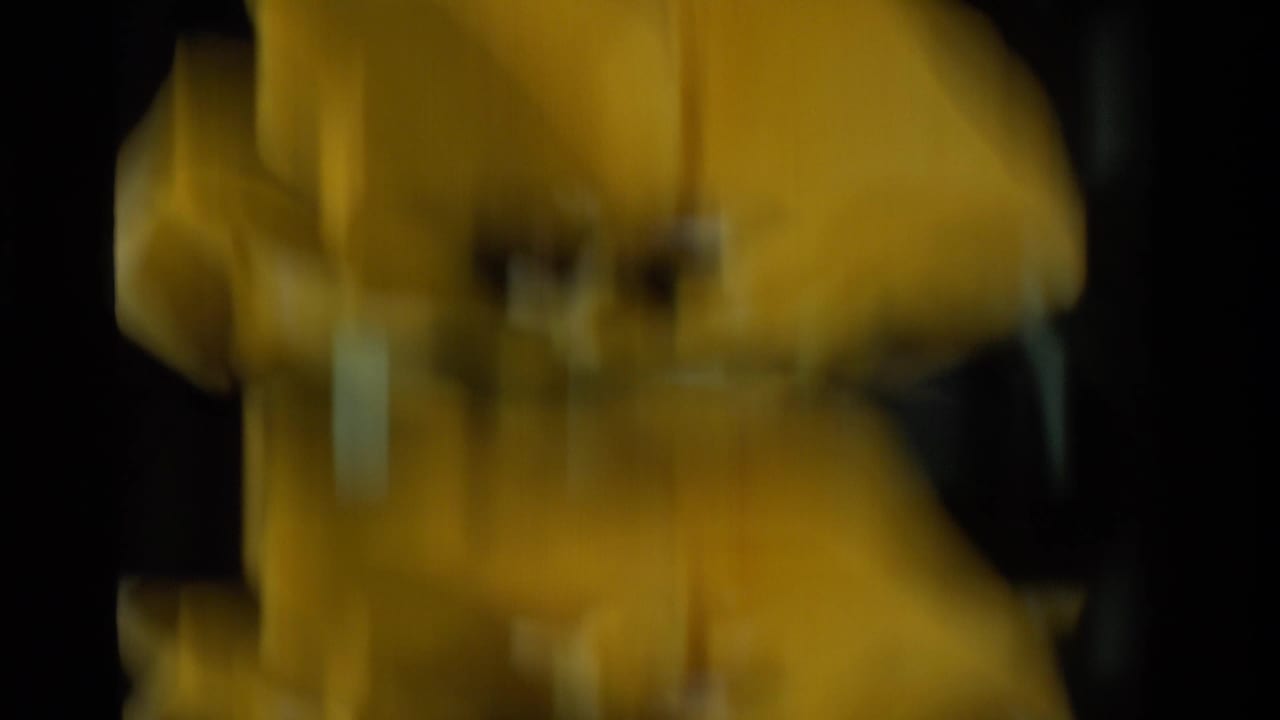 Soft, blurred close-up detail of the yellow tulip in 1984 California 8mm footage, with petals moving or slipping out of focus.