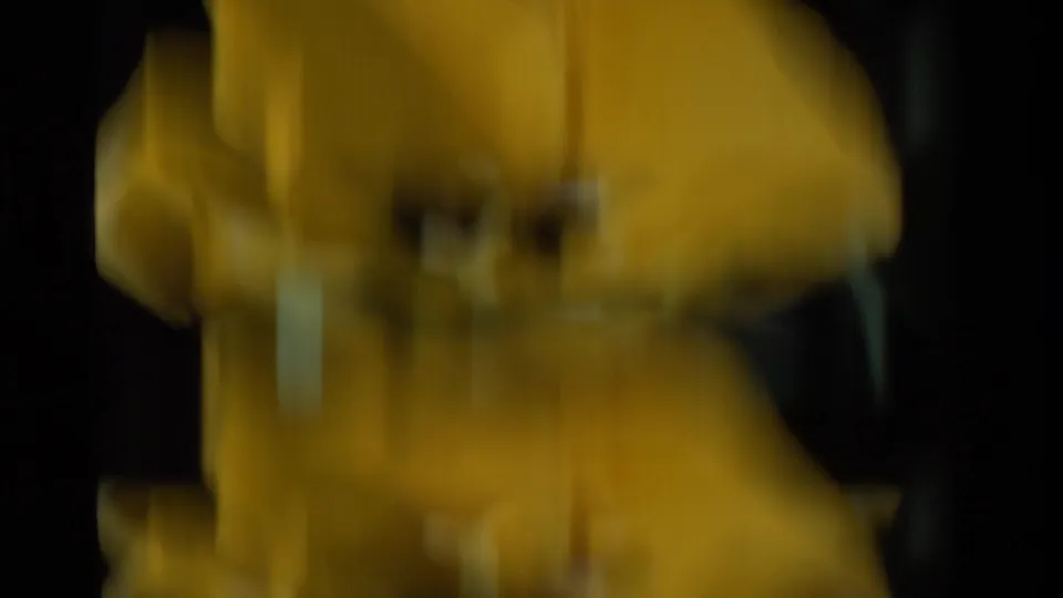 Soft, blurred close-up detail of the yellow tulip in 1984 California 8mm footage, with petals moving or slipping out of focus.