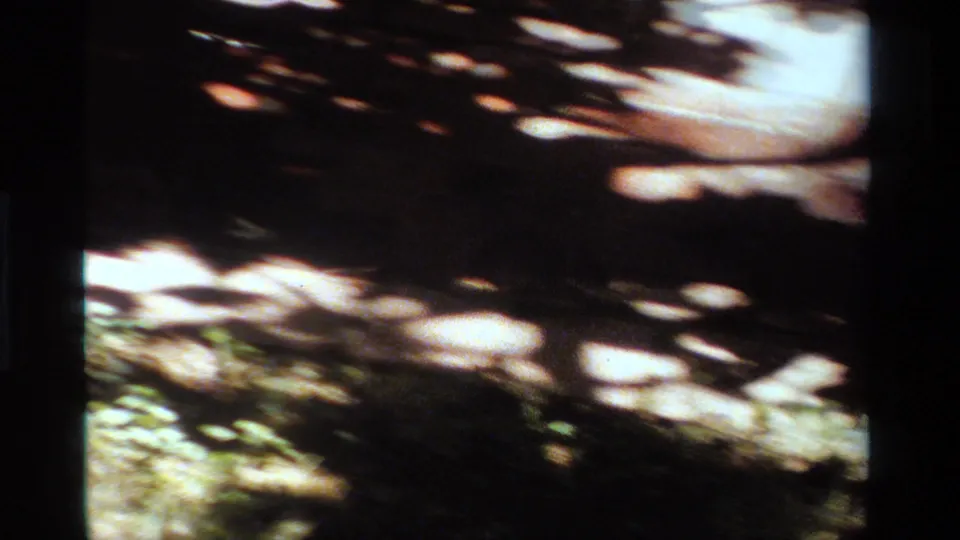 1984 California 8mm frame showing a shaded paved park path with mottled sunlight, tree shadows, and a small strip of grass.