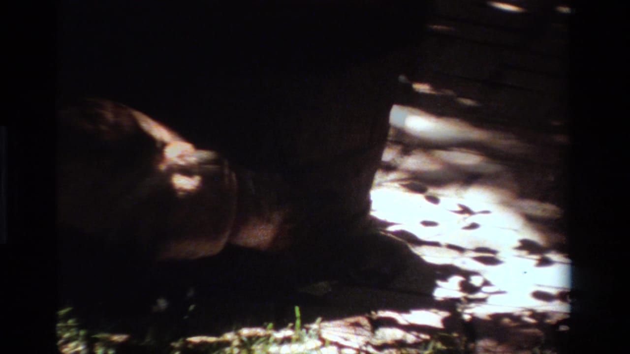 1984 California 8mm frame with a squirrel partly obscured by shadow beside a bright, leaf-patterned park walkway.