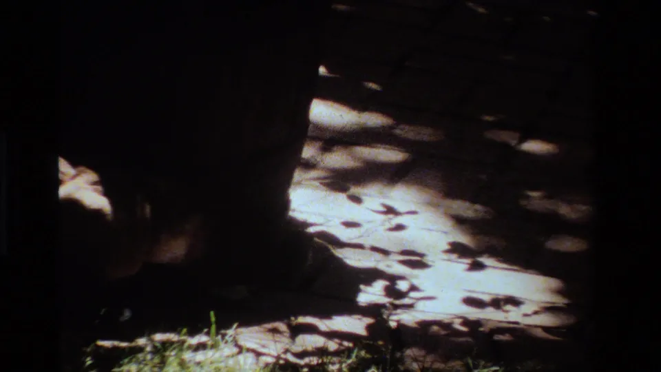 1984 California 8mm frame showing strong shadow across a park path, with the squirrel barely discernible near the left border.