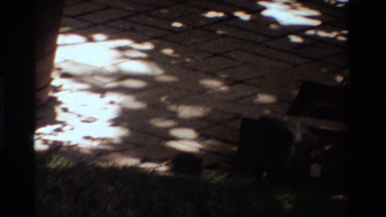 1984 California 8mm frame showing a shaded patio and grass where small animal forms are barely visible in heavy contrast.