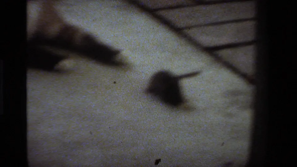 Soft-focus 8mm frame showing the cat and mouse separated across the porch surface, with paving visible behind them.