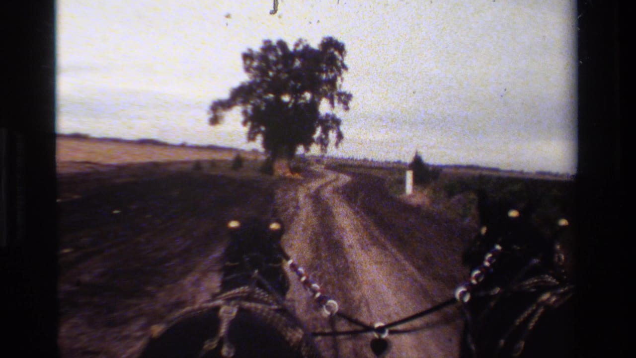 Two horses pull a carriage along a dirt road toward a large tree in open countryside.