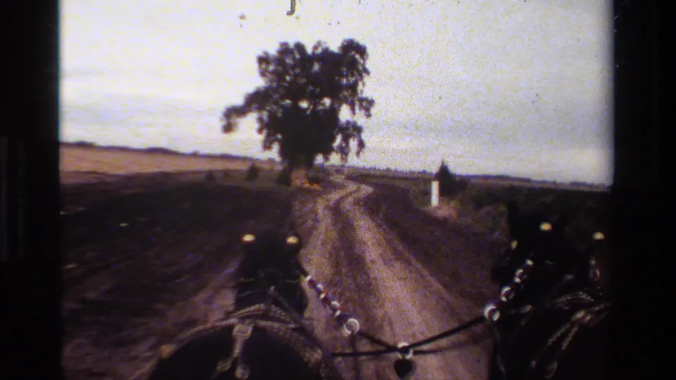 1984 California home-movie view from a horse-drawn carriage moving along a dirt road toward a large solitary tree.