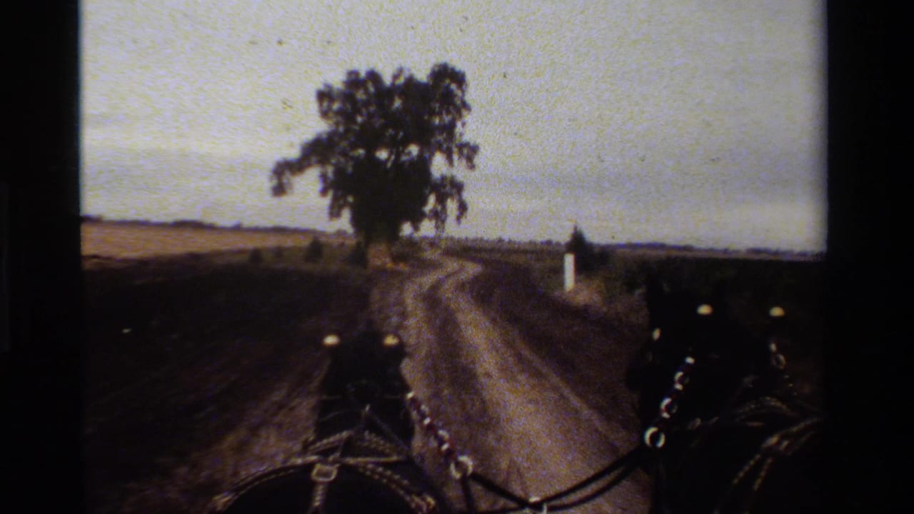 A first-person carriage view in rural California shows two horses approaching a large tree along a curving dirt road.