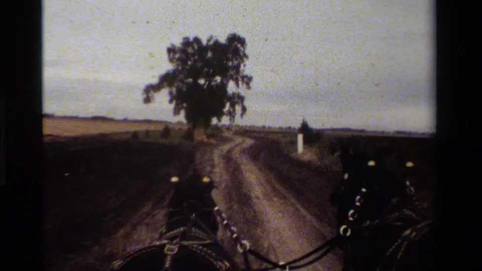A first-person carriage view in rural California shows two horses approaching a large tree along a curving dirt road.