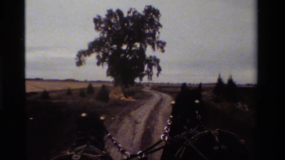 A 1984 California carriage ride passes near a large tree, with horses, harness lines, road surface, and open fields visible.
