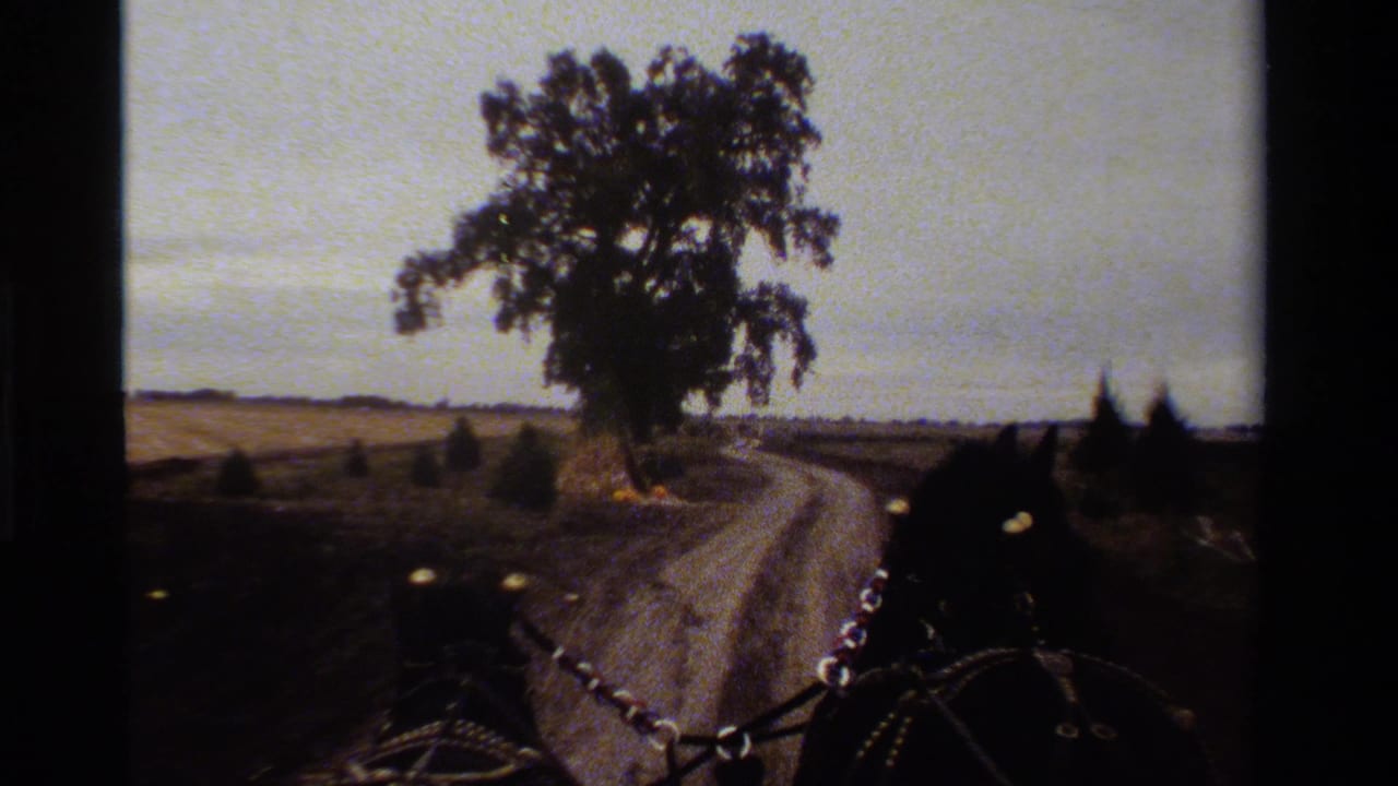 1984 California 8mm frame from a carriage view, with horse harnesses, a winding dirt road, fields, and a large roadside tree.