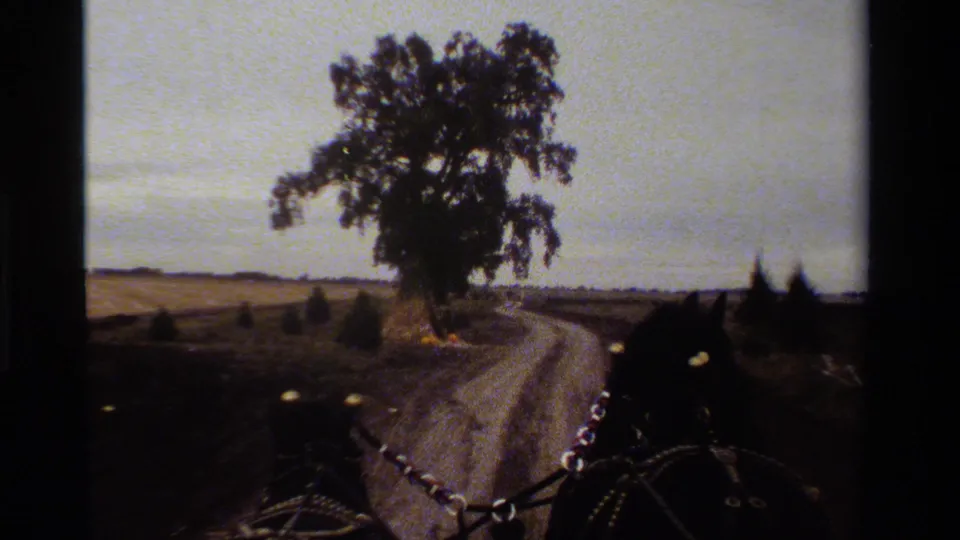 1984 California 8mm frame from a carriage view, with horse harnesses, a winding dirt road, fields, and a large roadside tree.