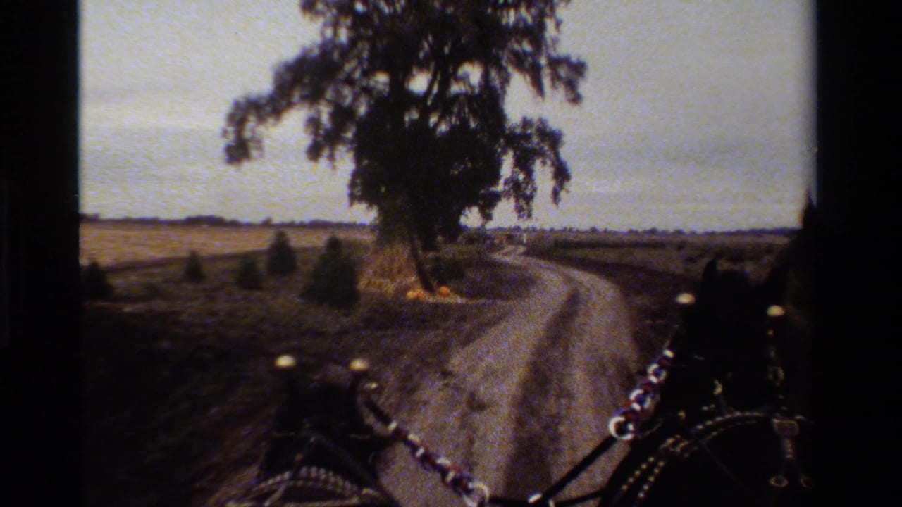 Forward-facing 1984 California carriage view with horse tack at the edge, a curving dirt road, large tree, and rural fields.