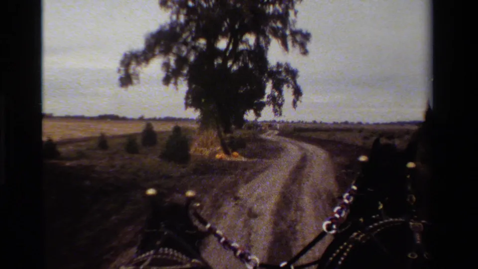 Forward-facing 1984 California carriage view with horse tack at the edge, a curving dirt road, large tree, and rural fields.