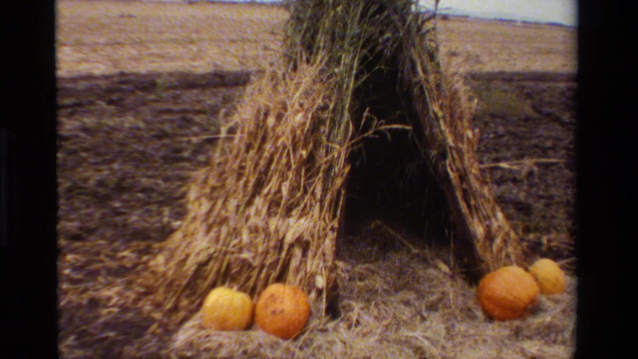 1984 California 8mm frame showing a dried corn stalk A-frame hut with pumpkins and straw in a rural field.