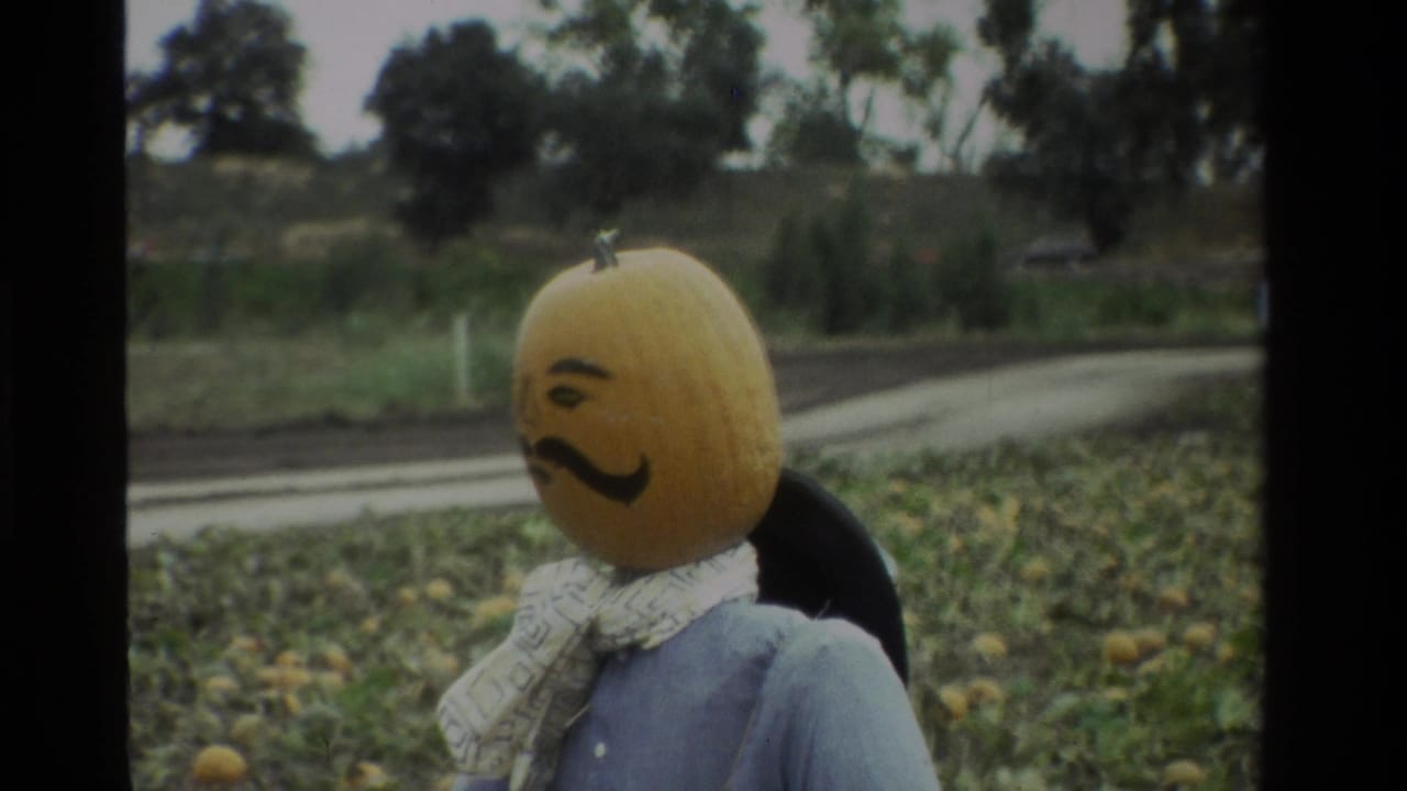 In a 1984 California pumpkin patch, a pumpkin-headed scarecrow with a painted mustache and scarf stands near a rural road.
