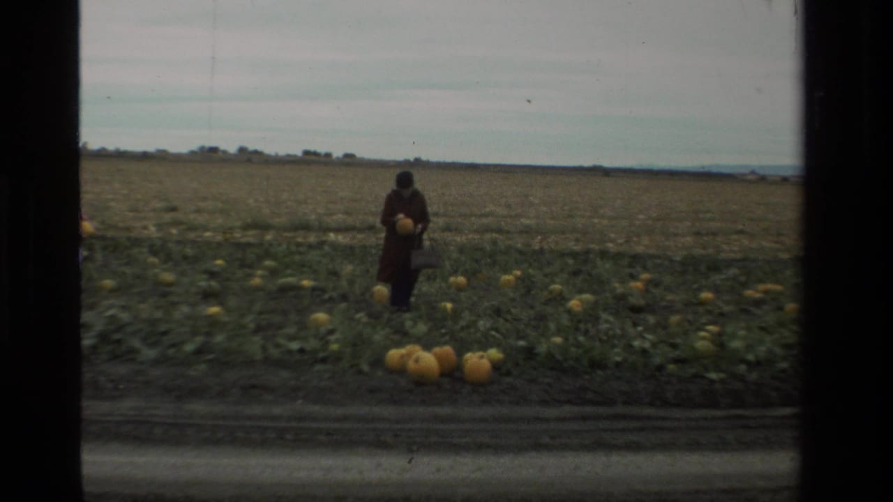 A woman in a long brown coat walks through a California pumpkin field in 1984, holding a pumpkin among scattered vines.