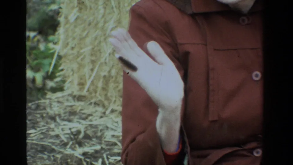 Close 8mm frame from the 1984 California clip showing a fuzzy caterpillar resting on a woman's open palm near her brown coat.