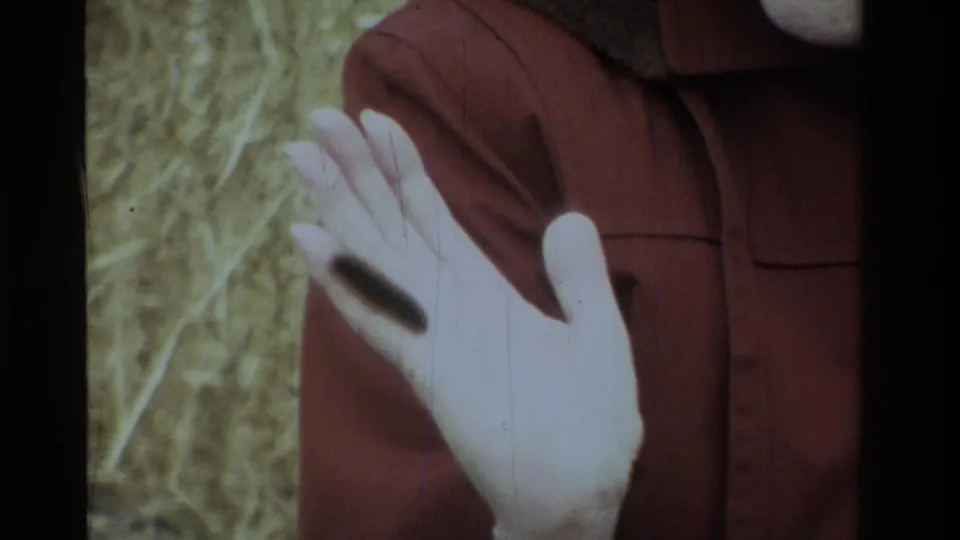 Close-up home-movie frame of a fuzzy caterpillar on a woman's palm, with hay and the edge of her brown coat in the background.