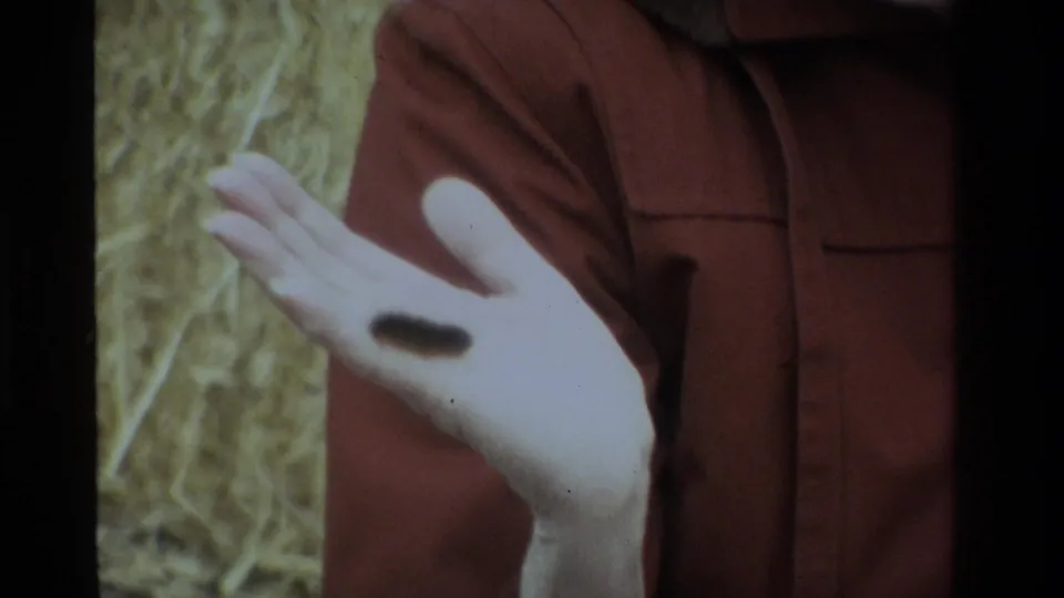 Final 8mm frame showing the caterpillar on the woman's palm, with the brown coat and straw-colored background filling the close shot.