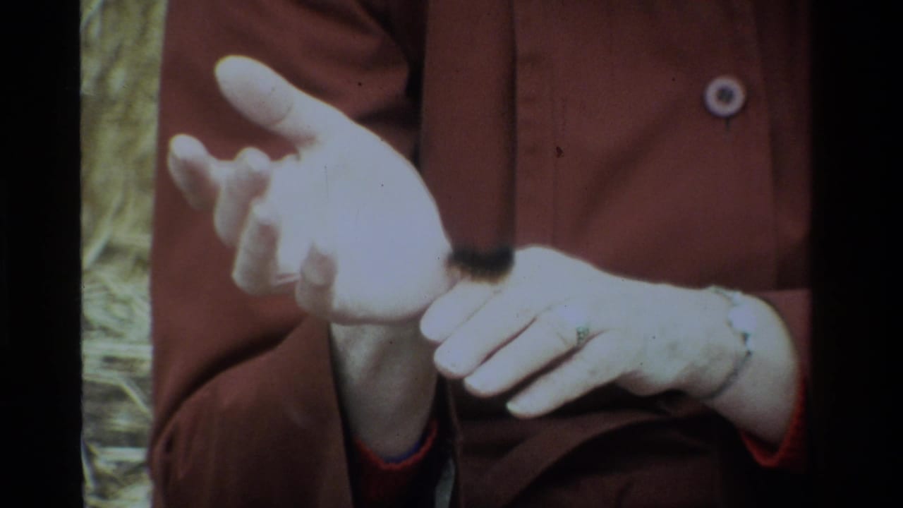 White-gloved hands hold a small fuzzy black worm near a brown jacket outdoors.