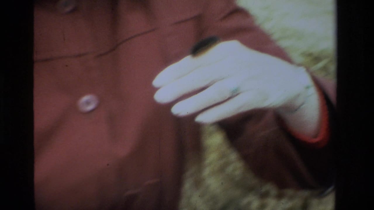 Close 8mm frame from California in 1984 showing a gloved hand near a small fuzzy worm as it rests on the other hand.