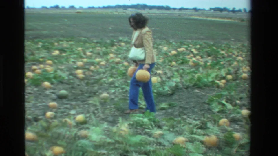 In a 1984 California pumpkin field, a dark-haired woman in a beige jacket and blue pants carries a pumpkin through vines.