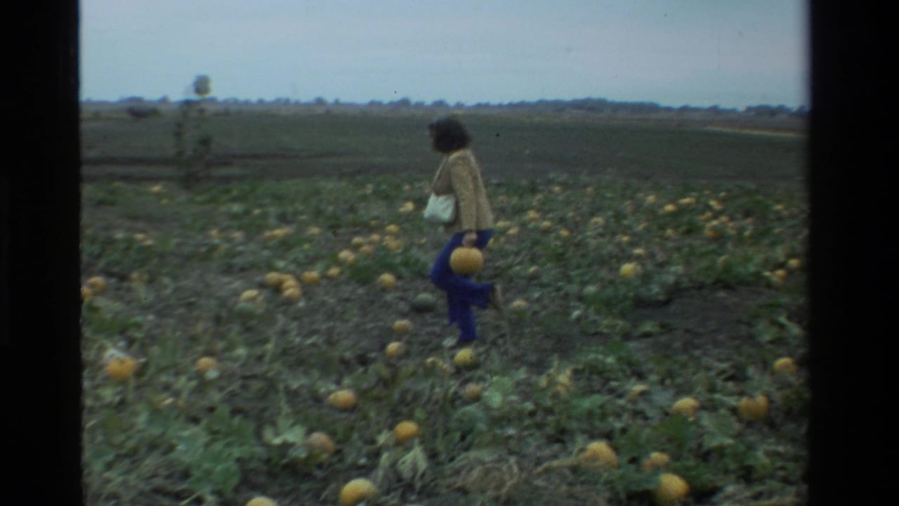 A woman walks across a California pumpkin patch in 1984, holding a pumpkin amid low vines and open farmland.
