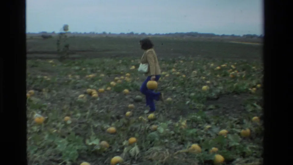 A woman walks across a California pumpkin patch in 1984, holding a pumpkin amid low vines and open farmland.