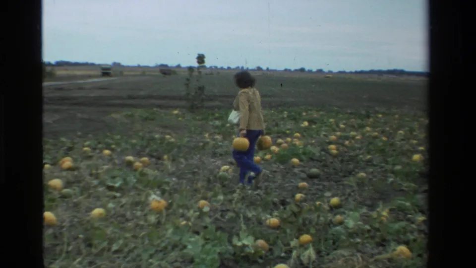 Viewed from behind, the woman continues through the 1984 California pumpkin field with a pumpkin at her side.