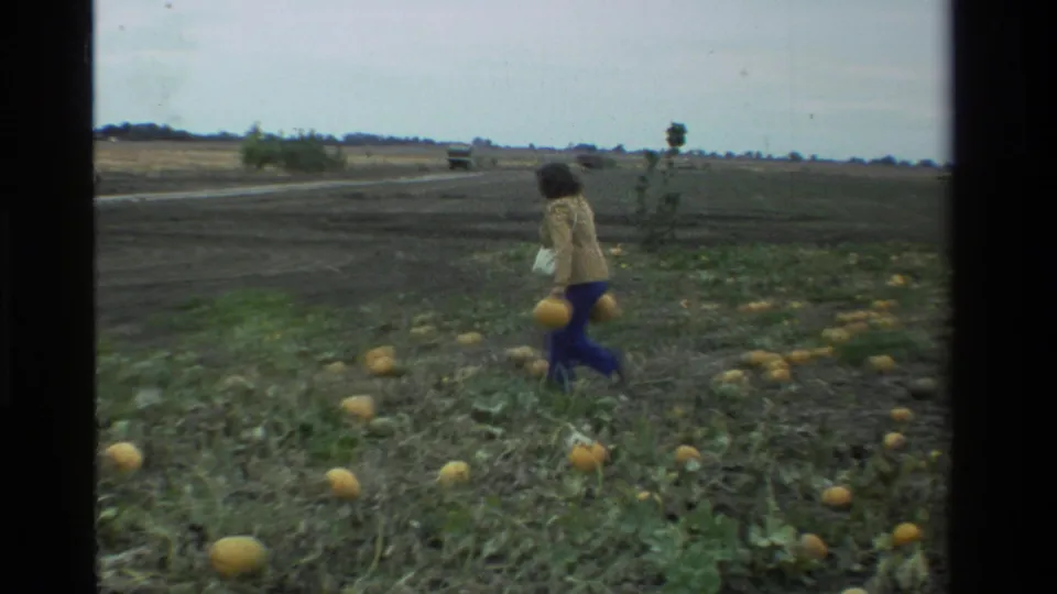 The woman walks near the edge of the California pumpkin patch, with a distant road and open fields visible behind her.