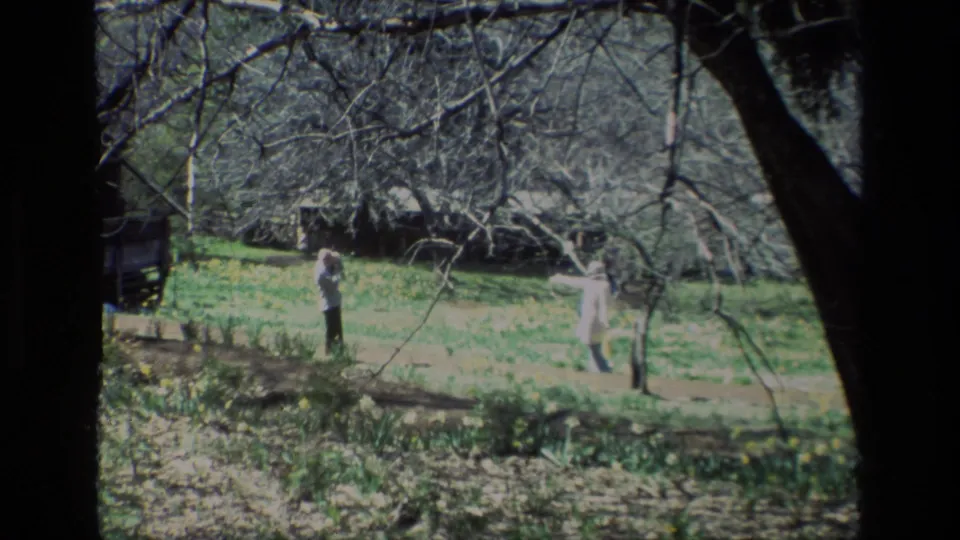 A wide 1985 Daffodil Hill view shows two people in a grassy field with daffodils, bare branches, and a dark tree trunk at the edge.