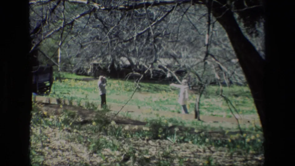 The final frame holds on two people in the Daffodil Hill meadow, with yellow flowers, grass, tree trunks, and bare spring branches visible.