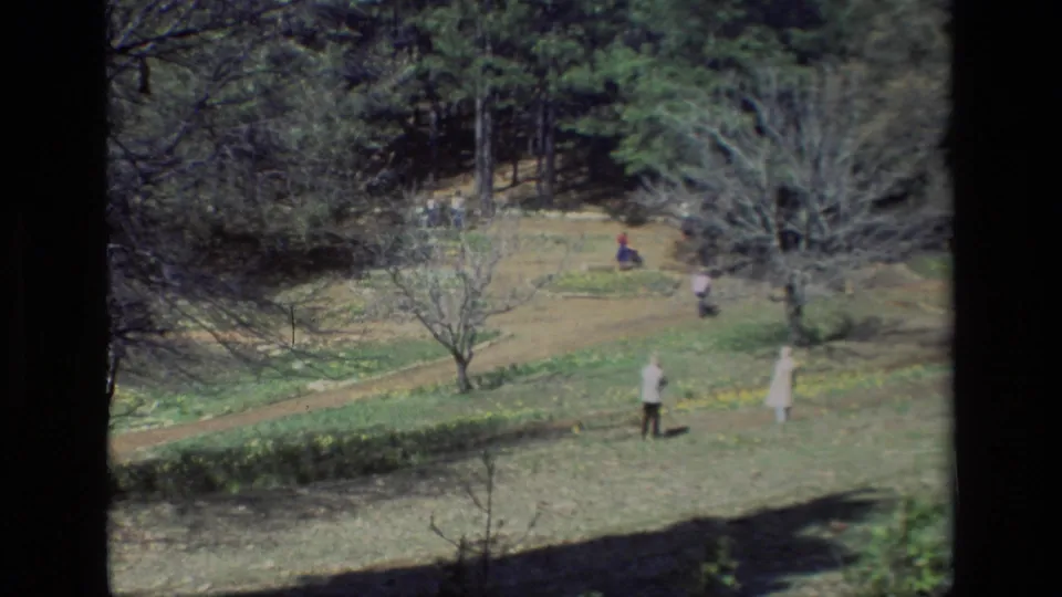 The clip ends on a wide Daffodil Hill view with two adults near the lower path and additional visitors dispersed among trees and flowers.