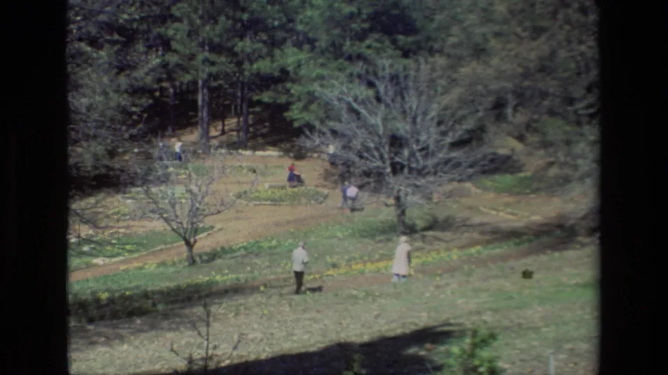 Daffodil Hill, California, appears in a 1985 8mm frame with visitors dispersed across paths, flower beds, and shaded trees.
