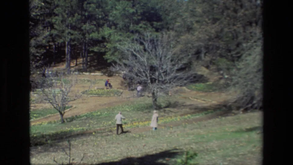 The final 1985 Daffodil Hill frame shows foreground visitors walking below daffodil patches, with trees and shaded woodland behind them.