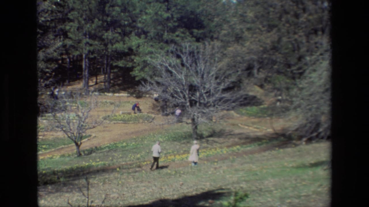 At Daffodil Hill in California, two visitors cross a grassy slope while other people appear farther back among daffodils and bare trees.