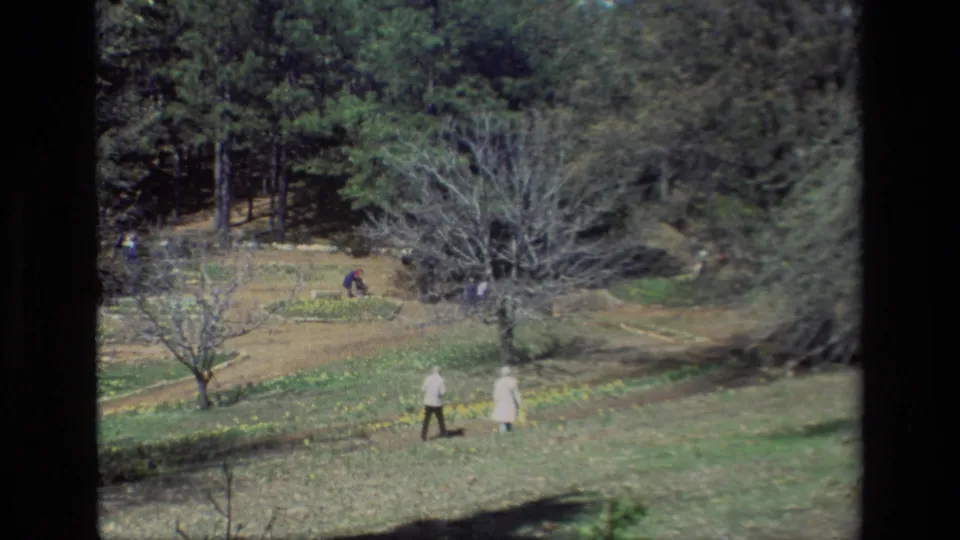 Two visitors move across the sunlit Daffodil Hill slope, with daffodil patches, bare trees, and distant park visitors behind them.