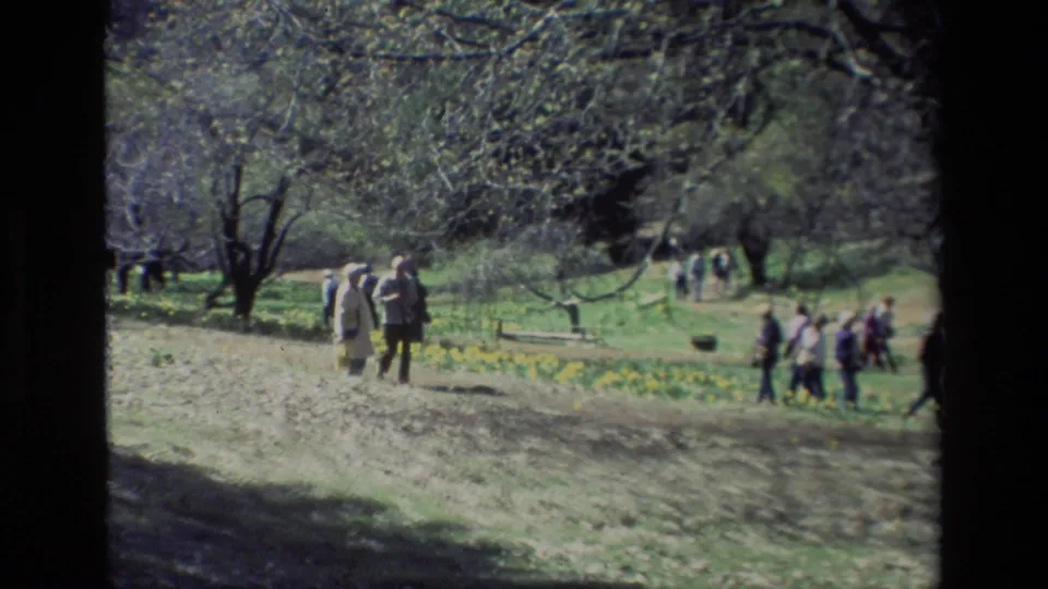 Several visitors gather and walk along a Daffodil Hill path, framed by yellow flowers, grassy ground, and leafless trees.