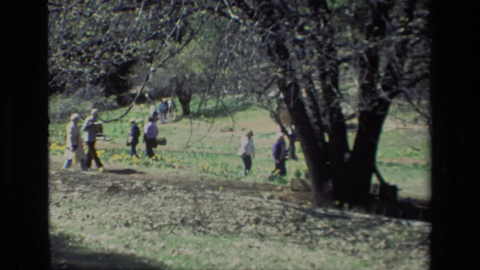 Visitors in casual 1980s clothing walk and gather near daffodils and trees at Daffodil Hill, California.