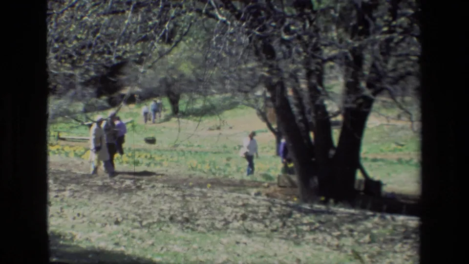Several visitors walk through the Daffodil Hill park landscape, with yellow flowers, grass, and mature trees visible.