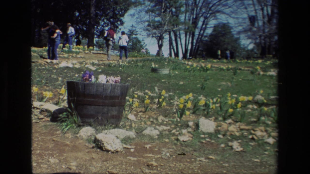 Visitors walk near yellow daffodils and a wooden barrel planter on a grassy slope.