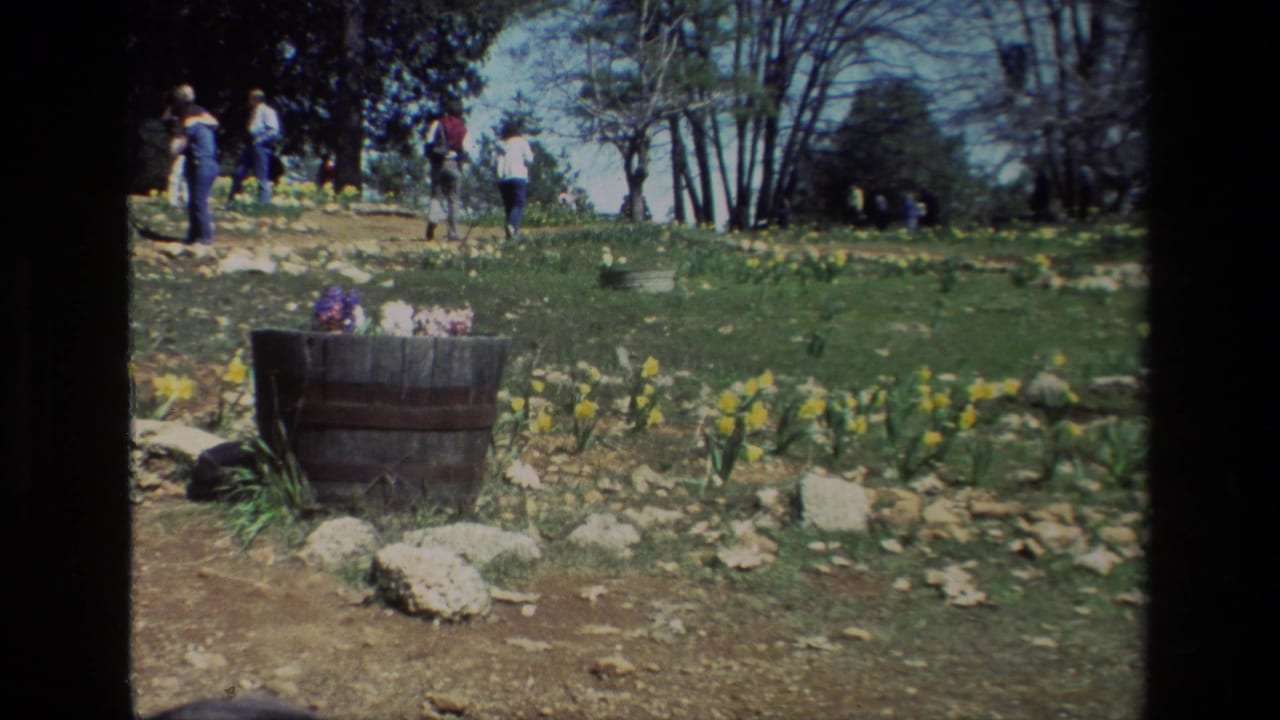 People stroll along a flower-lined grassy path with a barrel planter in the foreground.