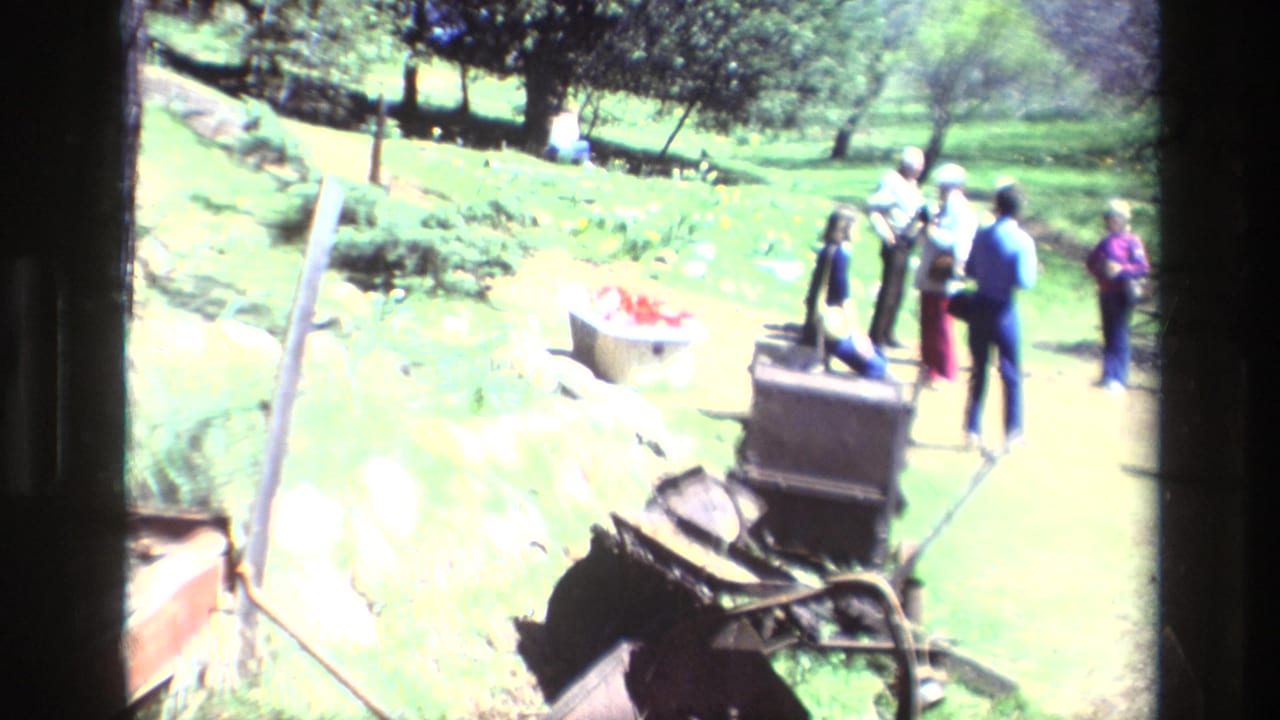 Daffodil Hill, California 1985 home-movie frame showing visitors gathered near a white tub planter with red flowers on a sunlit hillside.