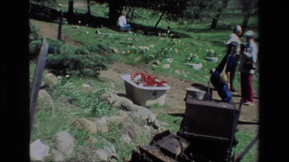 1985 Daffodil Hill home-movie frame showing visitors beside a white tub planter, with red flowers, daffodils, rocks, and trees around them.