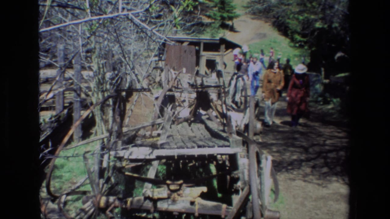 At Daffodil Hill in 1985, visitors walk uphill along a sunlit dirt trail beside old wooden farm equipment and trees.