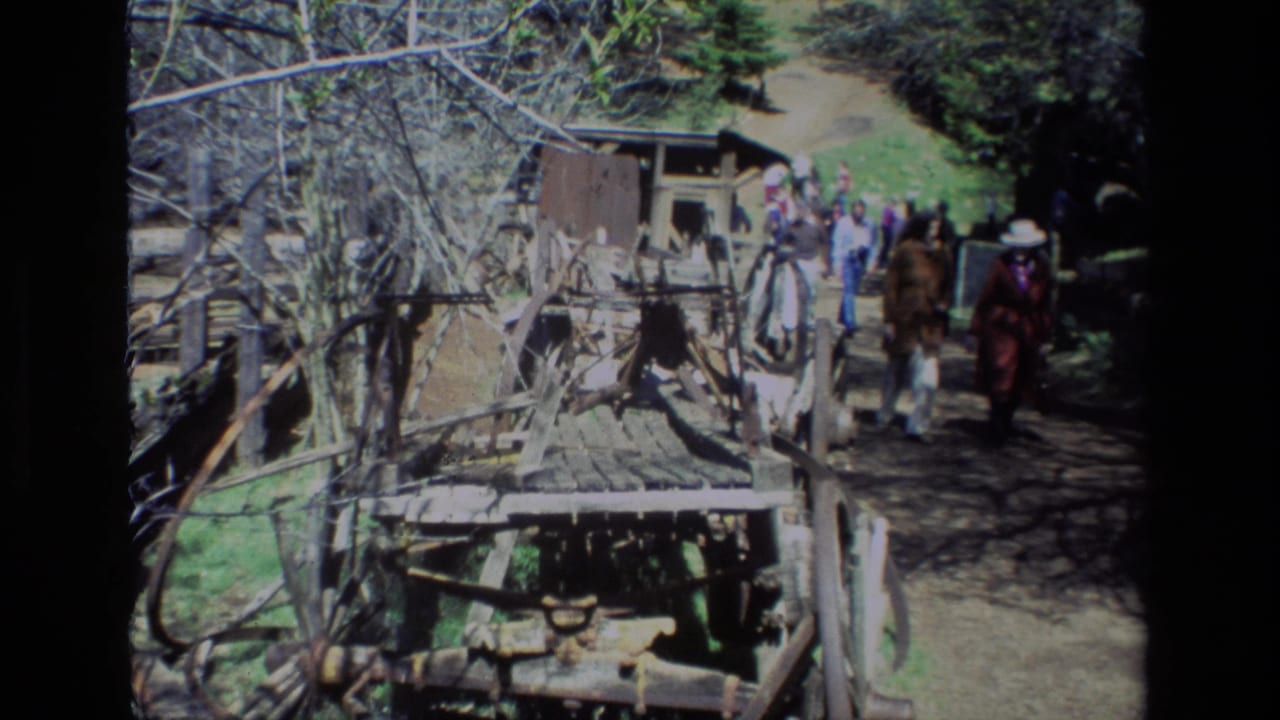 Visitors in casual 1980s clothing move along the Daffodil Hill trail near a weathered wooden structure and wooded shade.