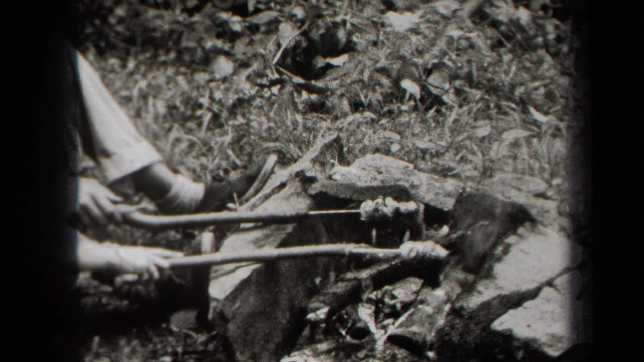 Person tending food on sticks over a small outdoor fire area.