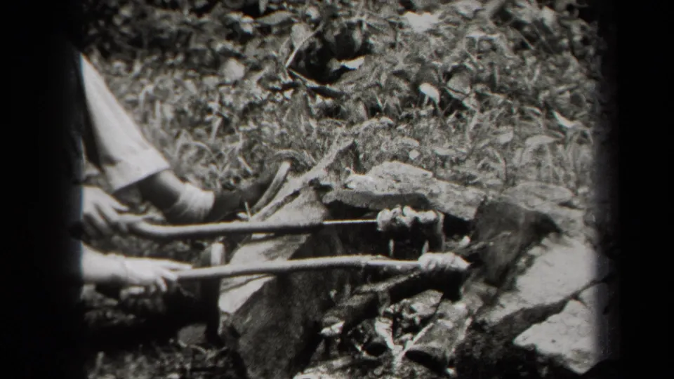In metadata-supported 1938 New York footage, a person uses long sticks near an outdoor fire area in the woods.