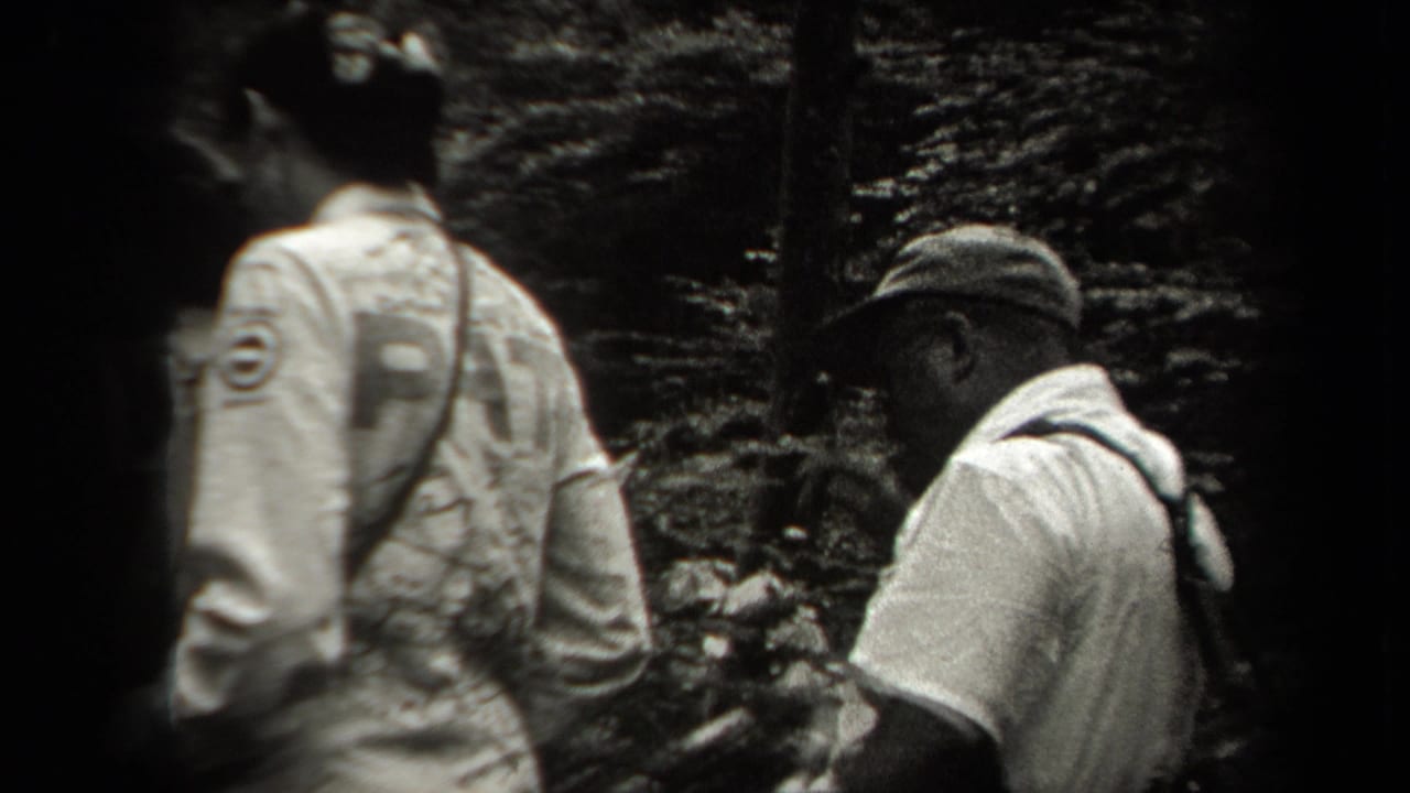 1938 New York 8mm frame showing hikers from behind as they move along a shaded forest path.